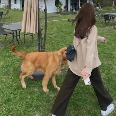 倾城之泪